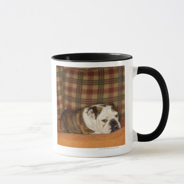 bulldogg som ljuger på en soffa mugg (Höger)