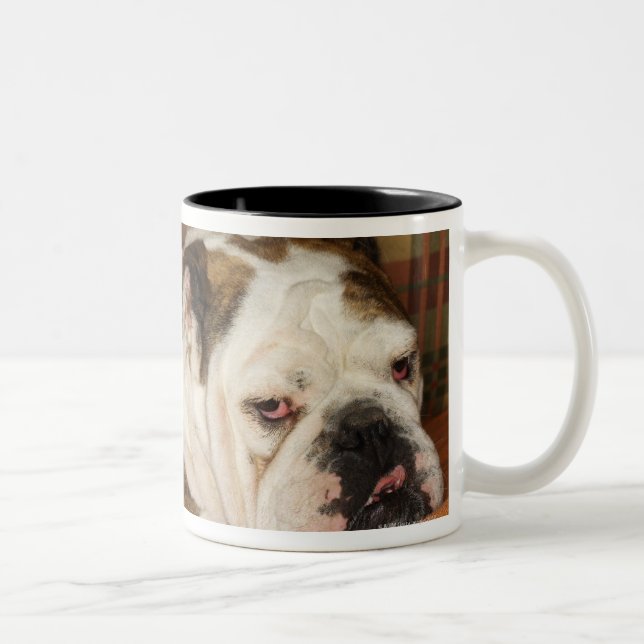 bulldogg som ljuger på en soffa Två-Tonad mugg (Höger)