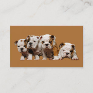 Bulldoggälskarevisitkort Visitkort