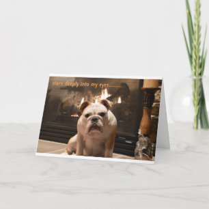 Bulldoggen får det väl kortet kort