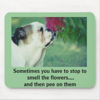 Bulldoggen och ron musmatta