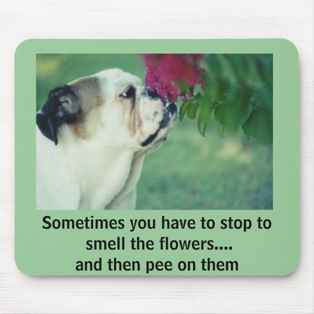 Bulldoggen och ron musmatta (Framsidan)