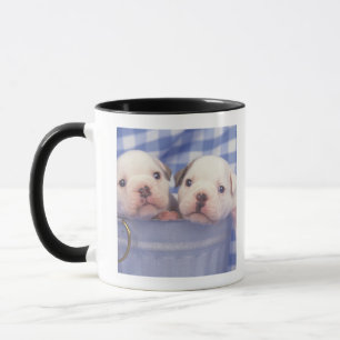 Bulldoggen som kallas ofta den engelska mugg