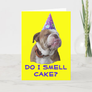 Bulldoggfödelsedagkort Kort
