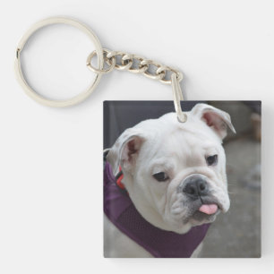 Bulldogggliring
