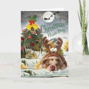 BulldoggjulHumbug Helgkort