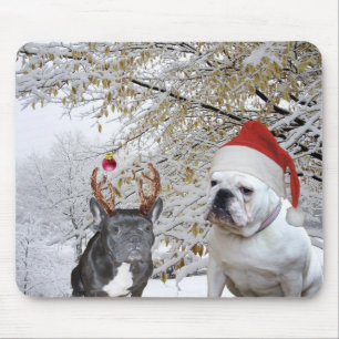 Bulldoggjulsnöplats Musmatta