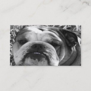 bulldoggkärlek visitkort