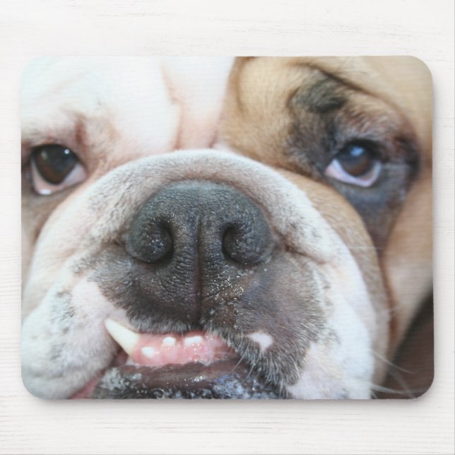 Bulldoggmusen vadderar musmatta (Framsidan)