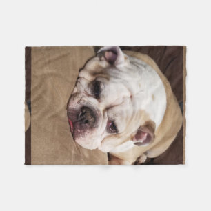 bulldoggullkast fleecefilt