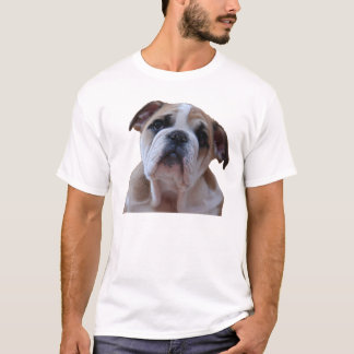 Bulldoggvalp 2 tröja