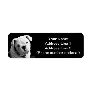 Bulldoggvalp Returadress Etikett