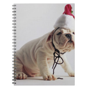 Bulldoggvalp som ha på sig den Santa hatten Anteckningsbok Med Spiral