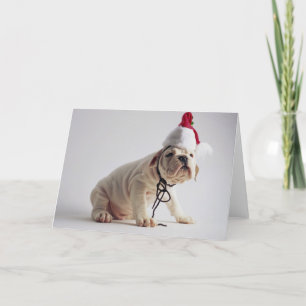 Bulldoggvalp som ha på sig den Santa hatten Helgkort