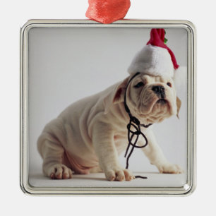 Bulldoggvalp som ha på sig den Santa hatten Julgransprydnad Metall