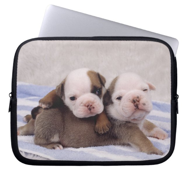 Bulldoggvalpar Laptop Sleeve (Framsidan)