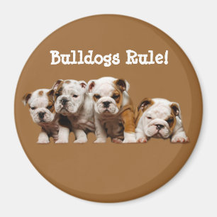 Bulldoggvalpmagnet Magnet