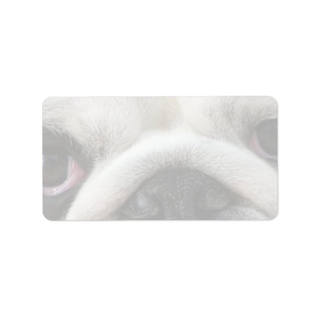 Bulldogögon Adressetikett (Framsidan)