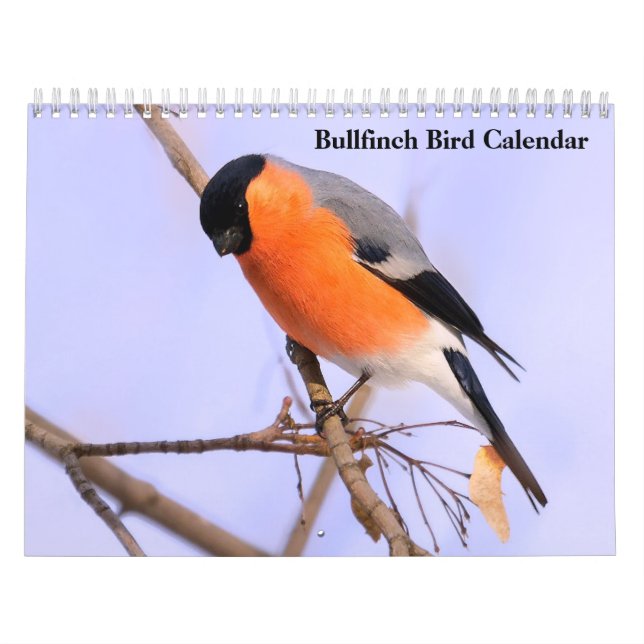 Bullfinch Bird Calendar Kalender (Omslag)