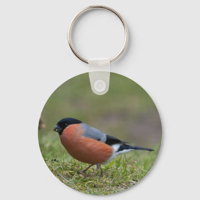 Bullfinch British Bird Keychain Nyckelring (Framsida)