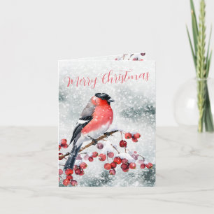Bullfinch jul Bird Snowy Red Berries Helgkort