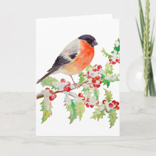 Bullfinch på Holly Gren i Snö Greeting Card Kort