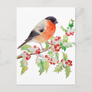 Bullfinch på holly gren på snö-vykort vykort