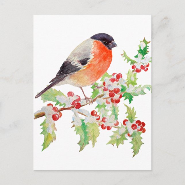 Bullfinch på holly gren på snö-vykort vykort (Framsida)