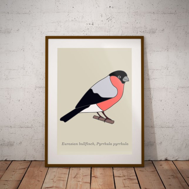 Bullfinch Poster (Bullfinch poster)