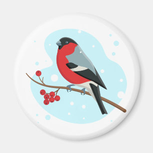 Bullfinch. Vackerlig vinter Magnet