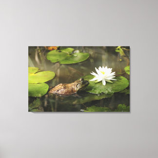 Bullfrog i Lily Pond Canvastryck