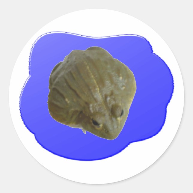 Bullfrog Sticker Runt Klistermärke (Framsida)