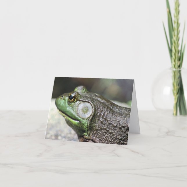 Bullfrog Tanke Naturfotografering Not Kort (Framsida)