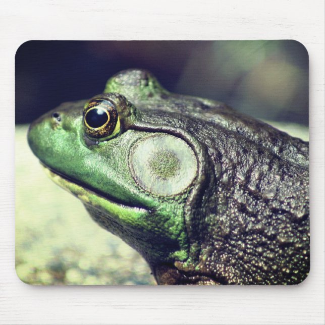 Bullfrog Thoughts Nature Musmatta (Framsidan)