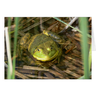 Bullfrogkort Hälsningskort