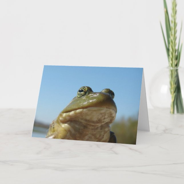 Bullgrog Kort (Framsida)