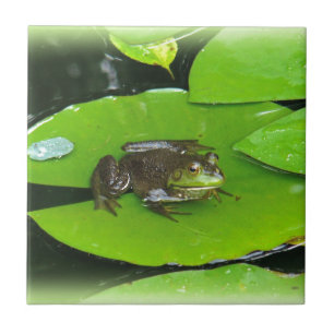 Bullgrog på lilypads kakelplatta