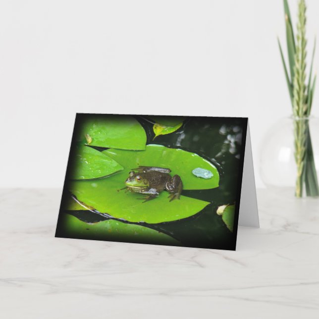 Bullgrog på lilypads kort (Framsida)