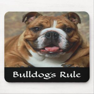 Bullhundregel - engelska Bulldog Porträtt Mousepa Musmatta