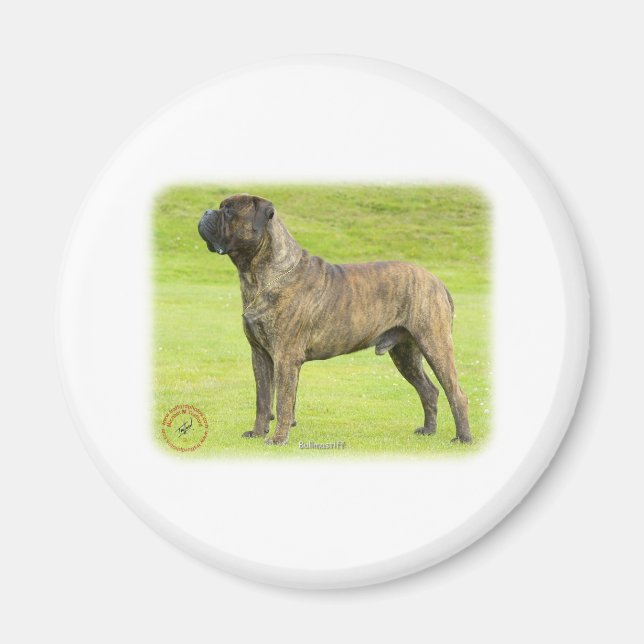 Bullmastiff 9R071D-077 Magnet (Framsidan)