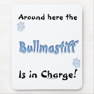 Bullmastiff Charge Musmatta