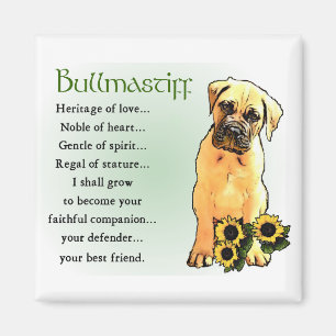 Bullmastiff gåvor magnet