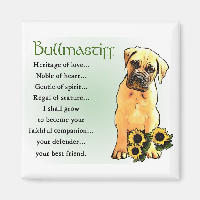 Bullmastiff Gifts Magnet (Framsidan)