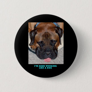 Bullmastiff har jag varit den funktionsdugliga knapp