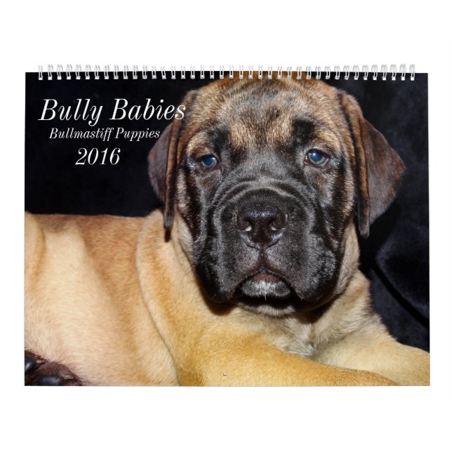 Bullmastiff kalender 2016 (Omslag)