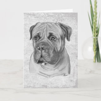 Bullmastiff Kort