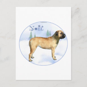 Bullmastiff Noel vykort