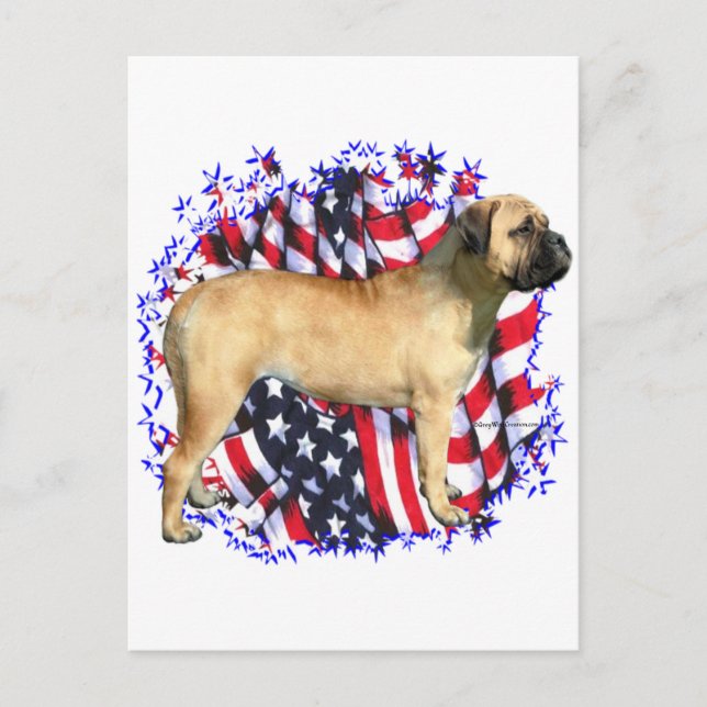 Bullmastiff Patriot Vykort (Framsida)