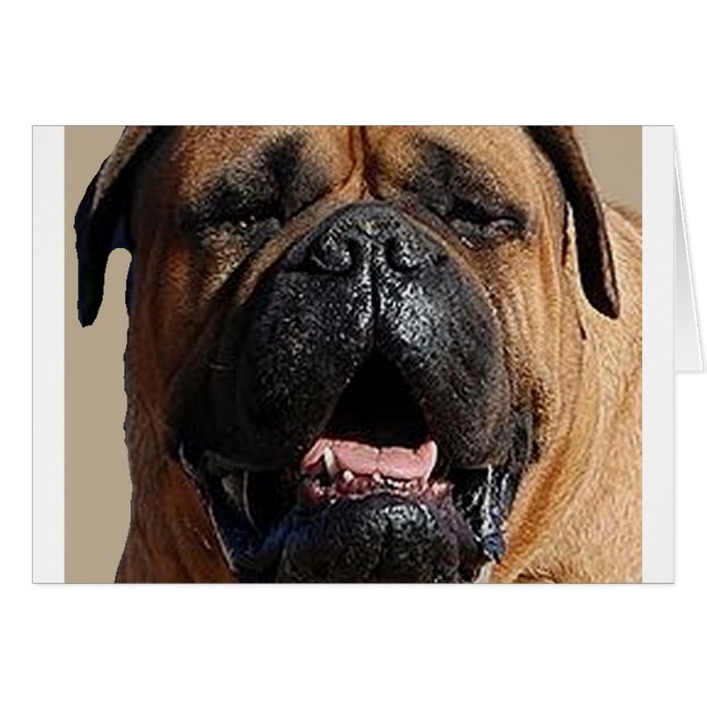 bullmastiff.png OBS kort (Framsidan Horizontal)