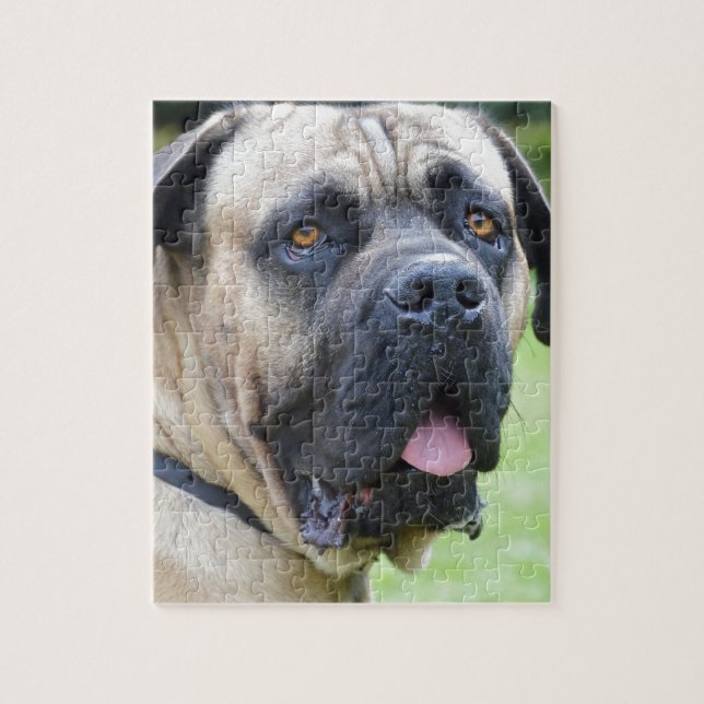 Bullmastiff Pussel (Vertikal)
